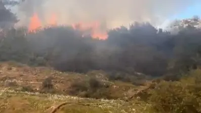 Çalılık yangınında 500 metrekare alan zarar gördü