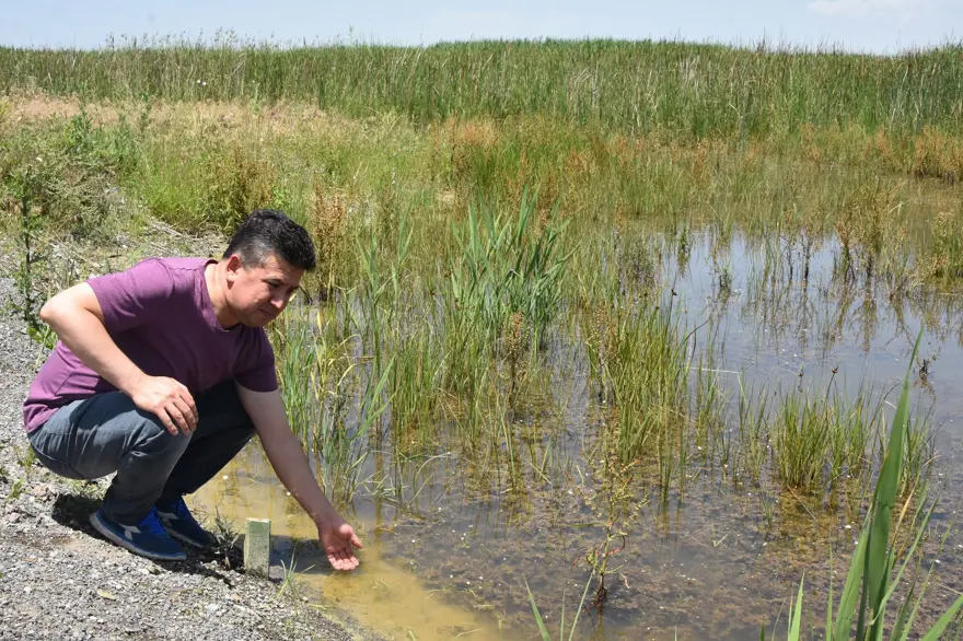 Kuruyan Akşehir Gölü'nün ortasında araçla gezilebiliyor 6