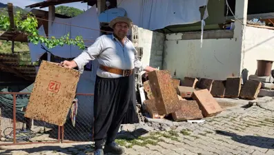 Sinekle mücadelede şaşırtan yöntem: Kartonlara fare yapıştırıcısı sürdü