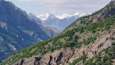 Mantar toplarken kayboldu; cansız bedeni bulundu