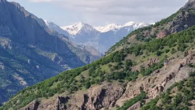 Mantar toplarken kayboldu; cansız bedeni bulundu