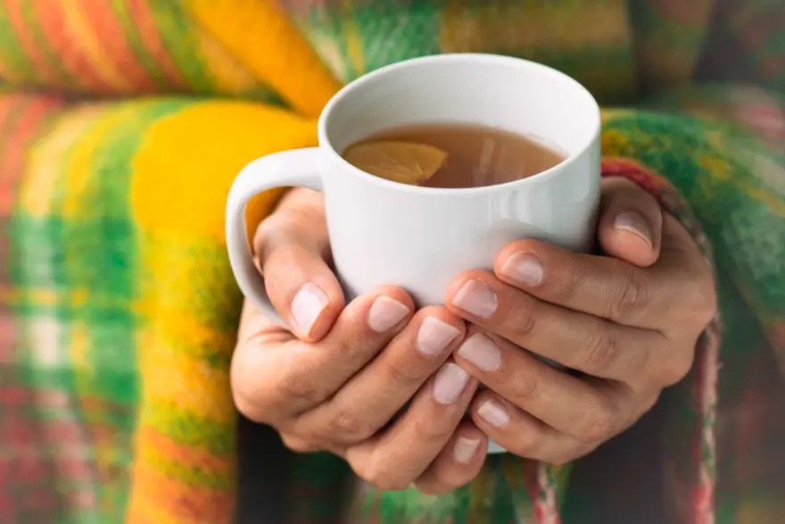 OOLONG ÇAYI 3 OOLONG ÇAYI 3