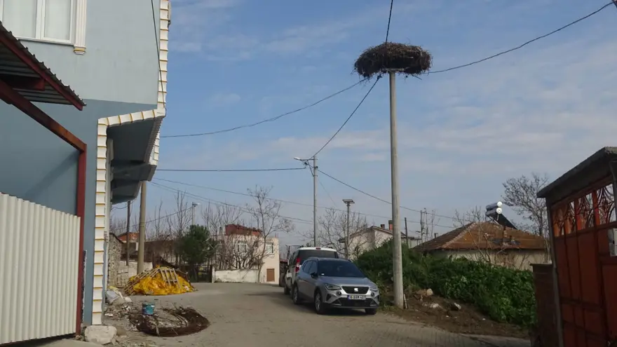 "BİRAZ DA TEDİRGİNİM" 3