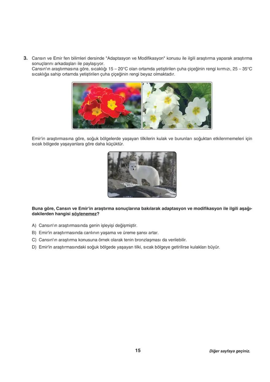 Uğur Okulları LGS-1 sayısal deneme sınavı 14