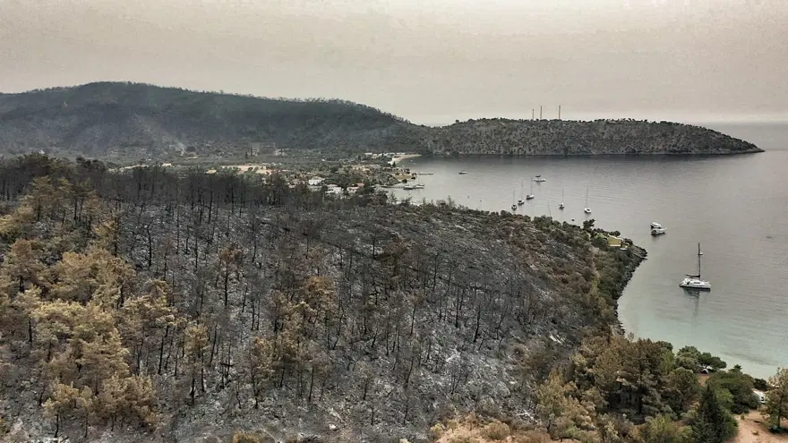 Bodrum ve Milas'ta yanan alanlar havadan görüntülendi 17 Bodrum ve Milas'ta yanan alanlar havadan görüntülendi 17