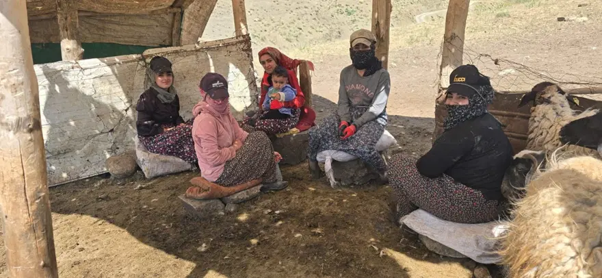 Her yaz yayla kiralıyor: Geçimlerini böyle sağlıyorlar 2