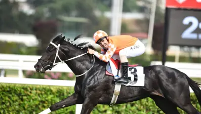 Ahmet Çelik'te hedef, üst üste 8'inci Gazi Koşusu zaferi