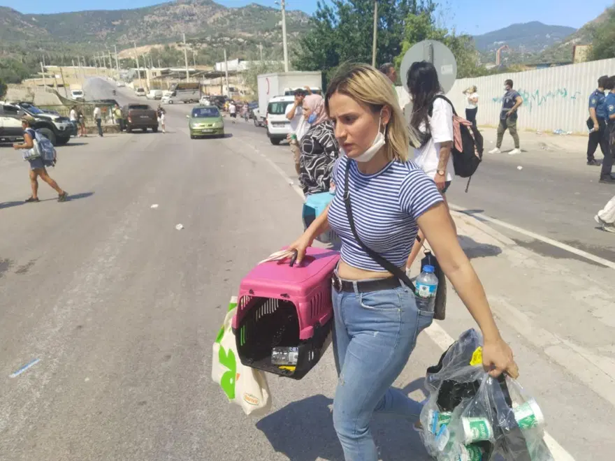 BARINAKLAR İÇİN HAYVANSEVERLERE ÇAĞRI 9 BARINAKLAR İÇİN HAYVANSEVERLERE ÇAĞRI 9