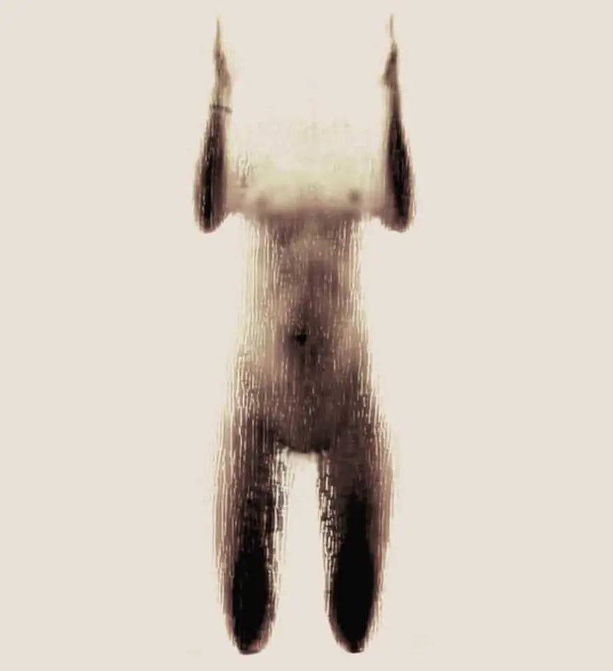 H 7