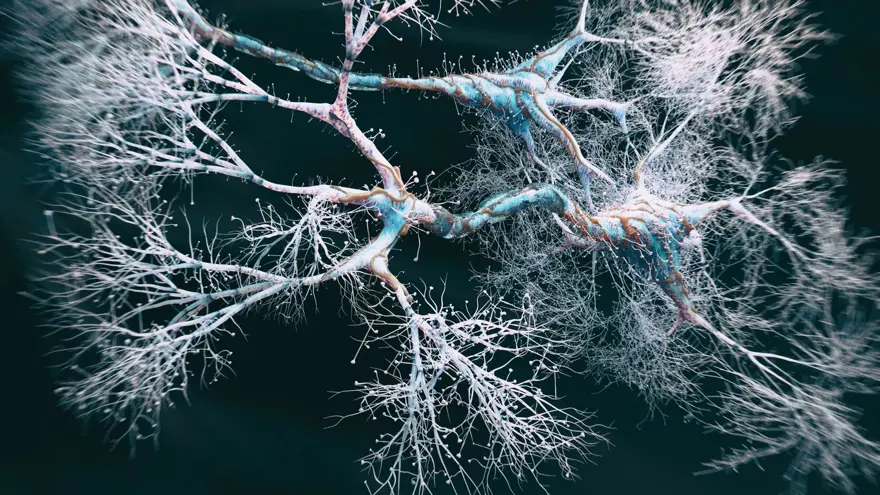 Çığır açan çalışma: İnsan beyninden alınan bir parça ilk kez dışarıda 12 saat boyunca canlı tutuldu 4