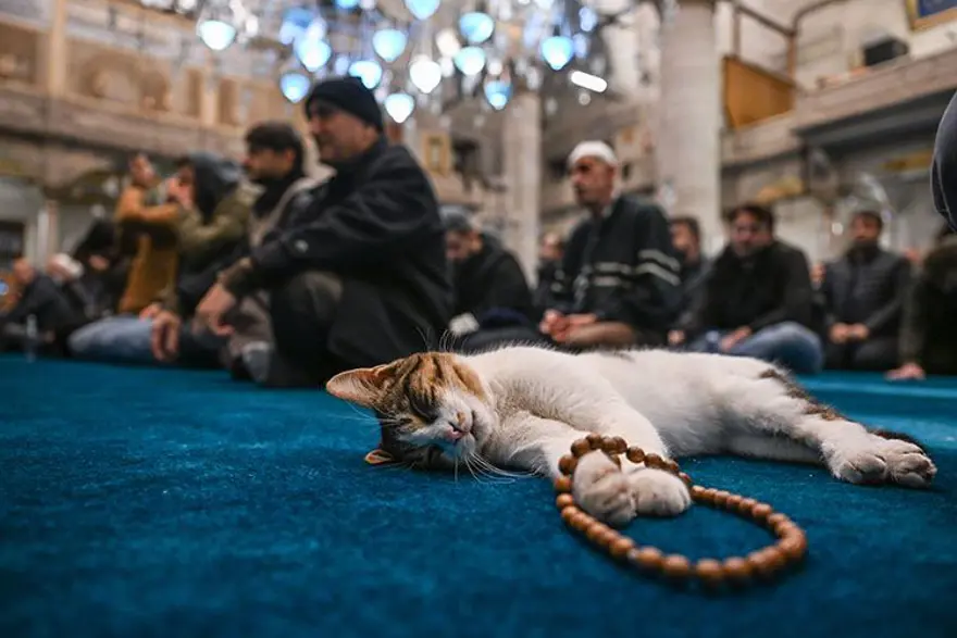 BERAT KANDİLİ'NİN ÖNEMİ 2 BERAT KANDİLİ'NİN ÖNEMİ 2