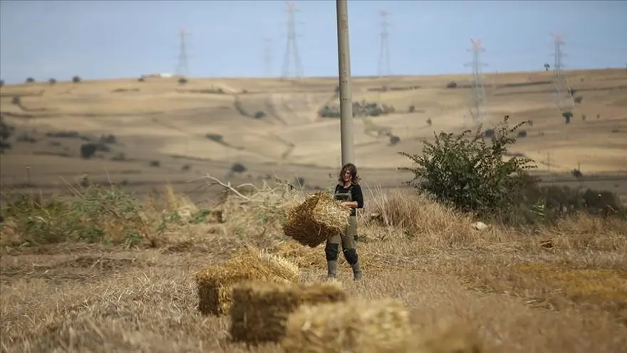 Çiftçiler Günü mesajları 2024: Yeni, en güzel, anlamlı, kısa ve uzun 14 Mayıs Dünya Çiftçiler Günü mesajları ve sözleri 3