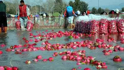 Soğuk suda ekmek mücadelesi