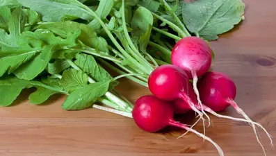 Gripten korunmada etkili turpun 10 faydası