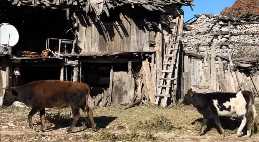 Kurt saldırıları nedeniyle terk edilen köye turist yağıyor 6 Kurt saldırıları nedeniyle terk edilen köye turist yağıyor 6