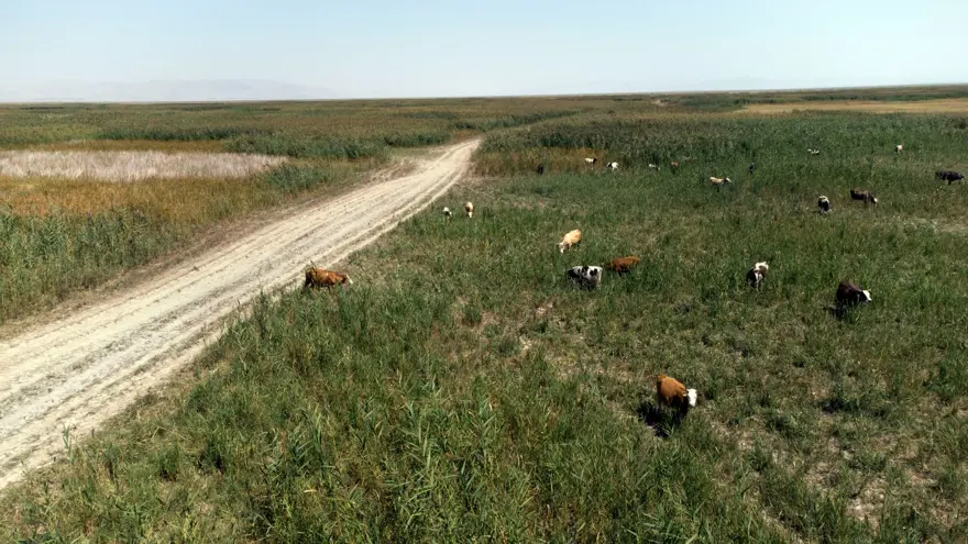 "BAŞKA BİR SU KAYNAĞI SÖZ KONUSU DEĞİL" 3