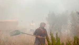 Antalya Manavgat'ta orman yangını