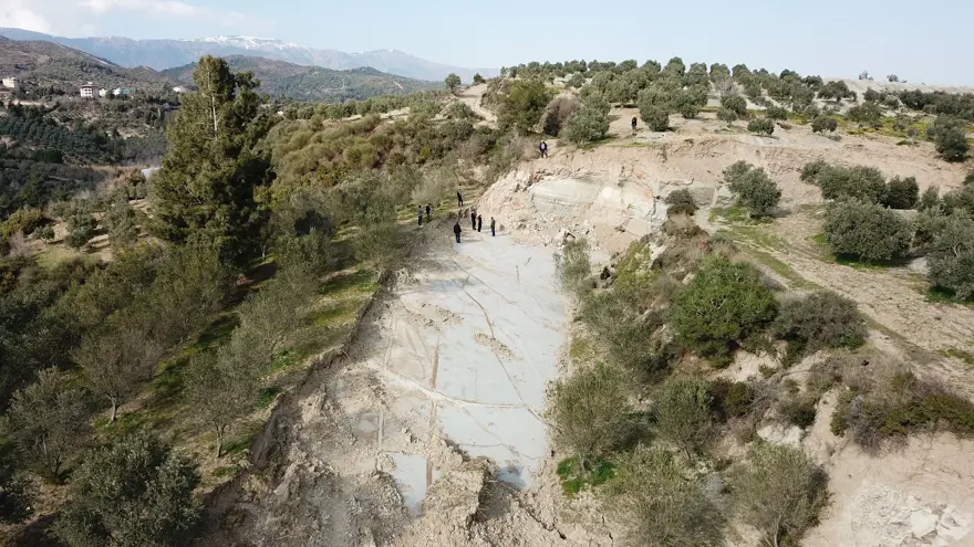 Depremin ardından Hatay'daki zeytinliklerde dev yarıklar 3
