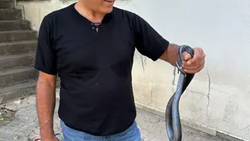 Tuvalete karayılan girdi: Doğal ortamına bırakıldı