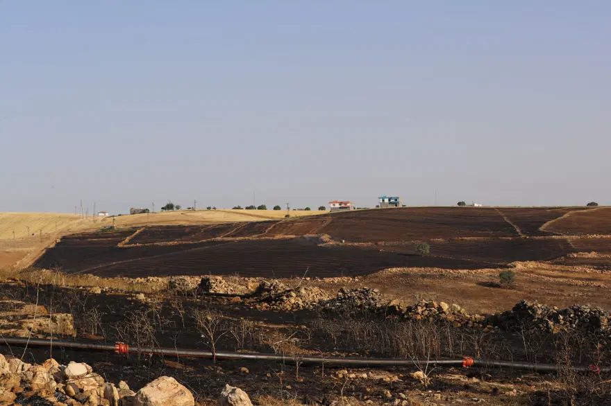 Diyarbakır-Mardin sınırındaki yangında can kaybı 15'e yükseldi | Bilirkişi raporu: Yangın elektrik direği kaynaklı 13