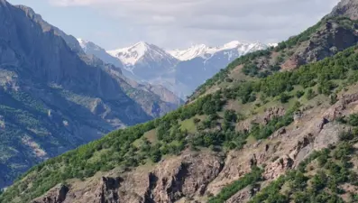 Mantar toplarken kaybolan kişi ölü bulundu