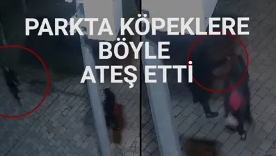 Beslediği köpekleri korumak isteyen kadın kurşunlara siper oldu