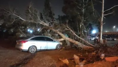 Hatay'da fırtına: Tekneler alabora oldu, ağaçlar devrildi