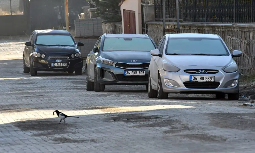 Hava buz kesti! Sıcaklık -3'e düştü, arabalar bembeyaz oldu 1 Hava buz kesti! Sıcaklık -3'e düştü, arabalar bembeyaz oldu 1