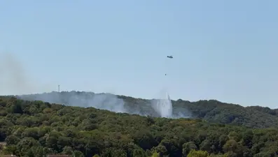 SON DAKİKA HABERİ | İstanbul Zekeriyaköy'de orman yangını