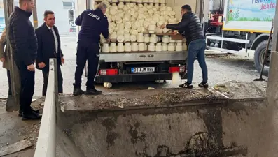 Tonlarca bozuk peynir ele geçirildi