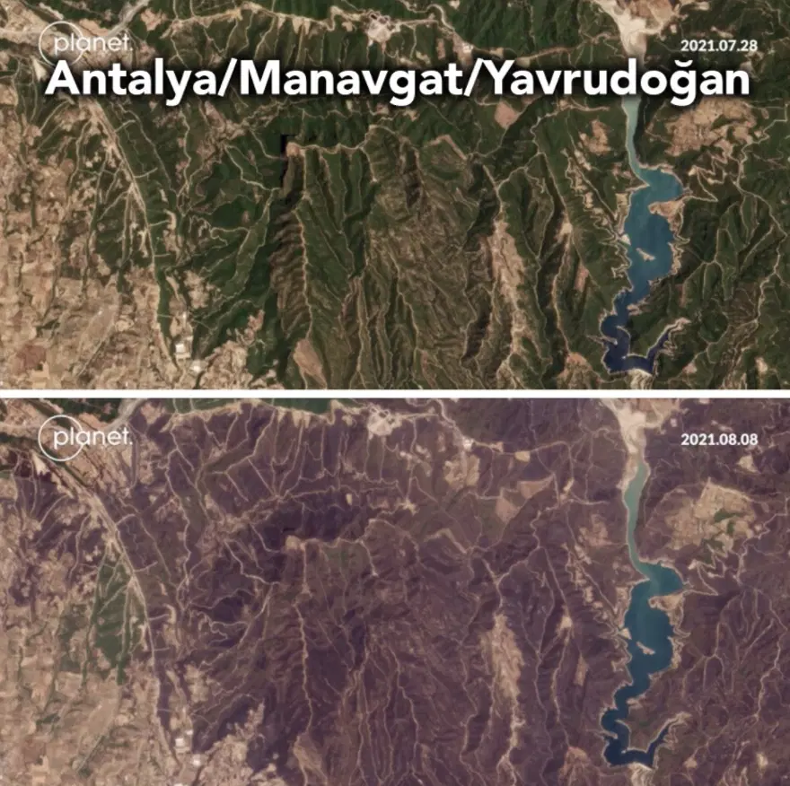 Türkiye'deki orman yangınlarının tahrip ettiği alanların uydu görüntüleri yayımlandı 4