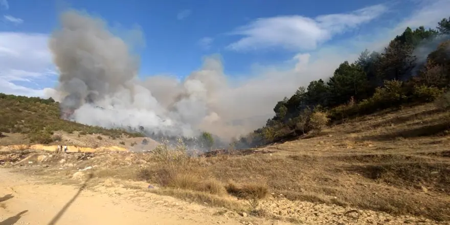 Afyonkarahisar’da orman yangını: Alevlerrüzgarın etkisiyle yayıldı 4