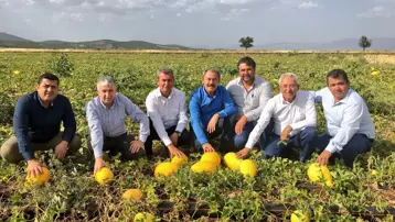 Tezgahlarda 10 liraya satılıyordu: Coğrafi işaret aldı, tescillendi