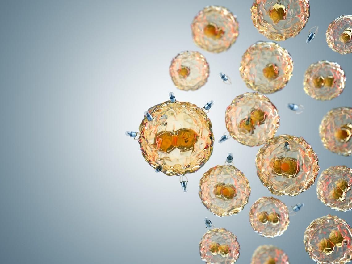 Bilim insanları, mikroplastik kirliliği ile savaşmak için "yaşayan robotlar" geliştirdi