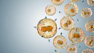 Bilim insanları, mikroplastik kirliliği ile savaşmak için "yaşayan robotlar" geliştirdi