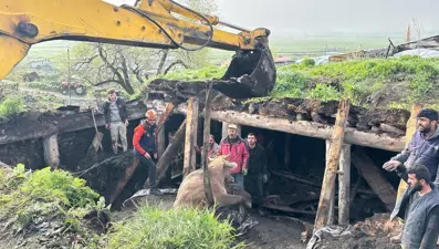 Ardahan'da ahır çöktü
