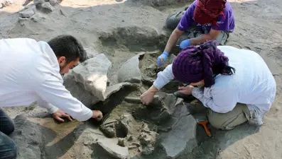 Eskişehir Küllüoba Höyüğü'nde 5 bin yıllık küp mezarlarda çocuk iskeletleri bulundu