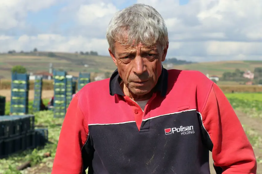 Marul tarlada 50 kuruş, markette 8 lira 7