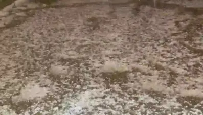 Dolu yağışı Kelkit'i beyaza bürüdü