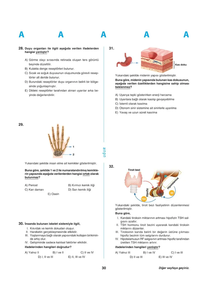 YKS - AYT deneme sınavı 29
