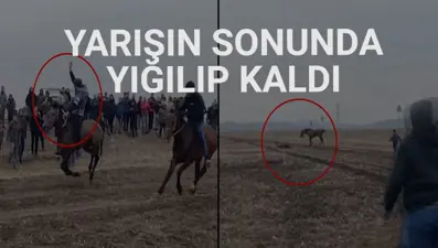 At yarışını kazanınca heyecandan yere yığıldı