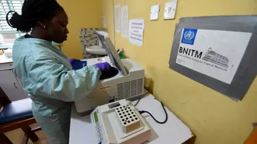 Nijerya'da Lassa virüsü salgını: 41 ölü