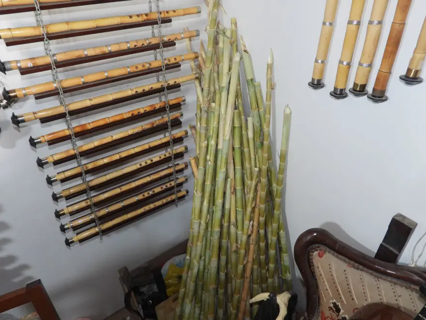 "SULAK ALANLAR KURUDU" 3