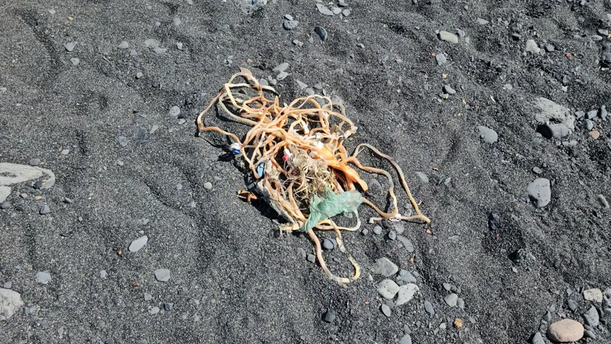 Kozlu Sahil'deki çöp yığını 2 Kozlu Sahil'deki çöp yığını 2