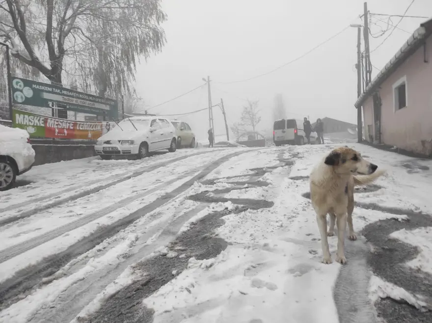 İstanbul'da kar başladı: İşte ilk fotoğraflar 12