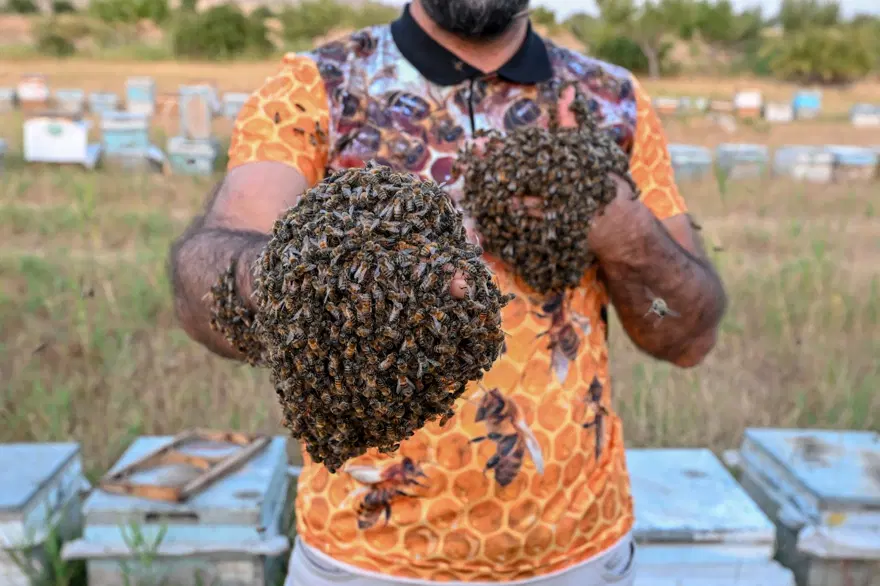 "Arı Adam"ın Guinness Rekorlar Kitabı hayaline ramak kaldı 8