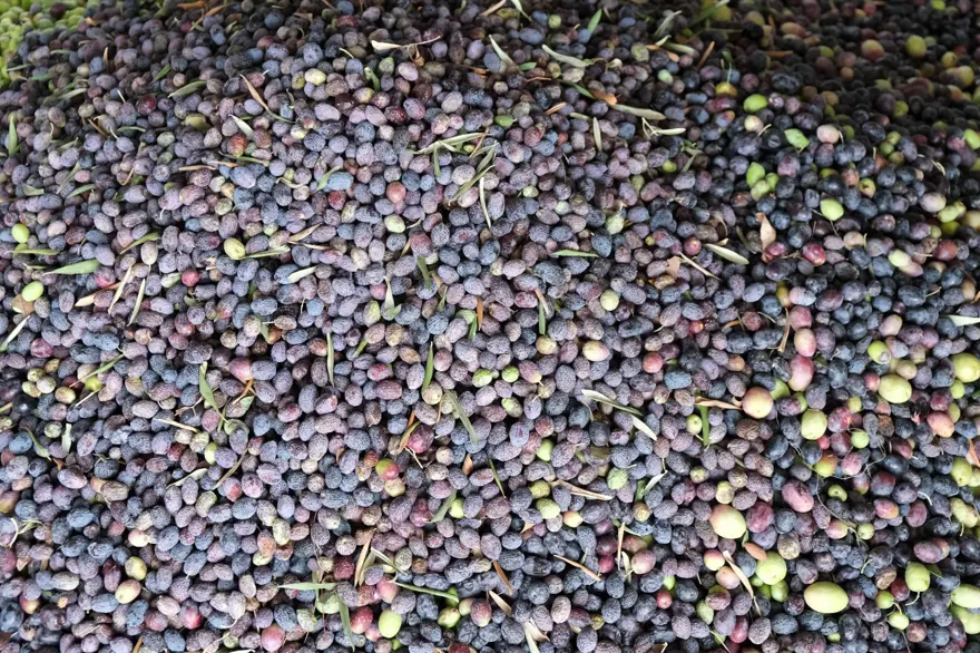 FİYATLAR SABİT AMA ARTIŞ BEKLENİYOR 5