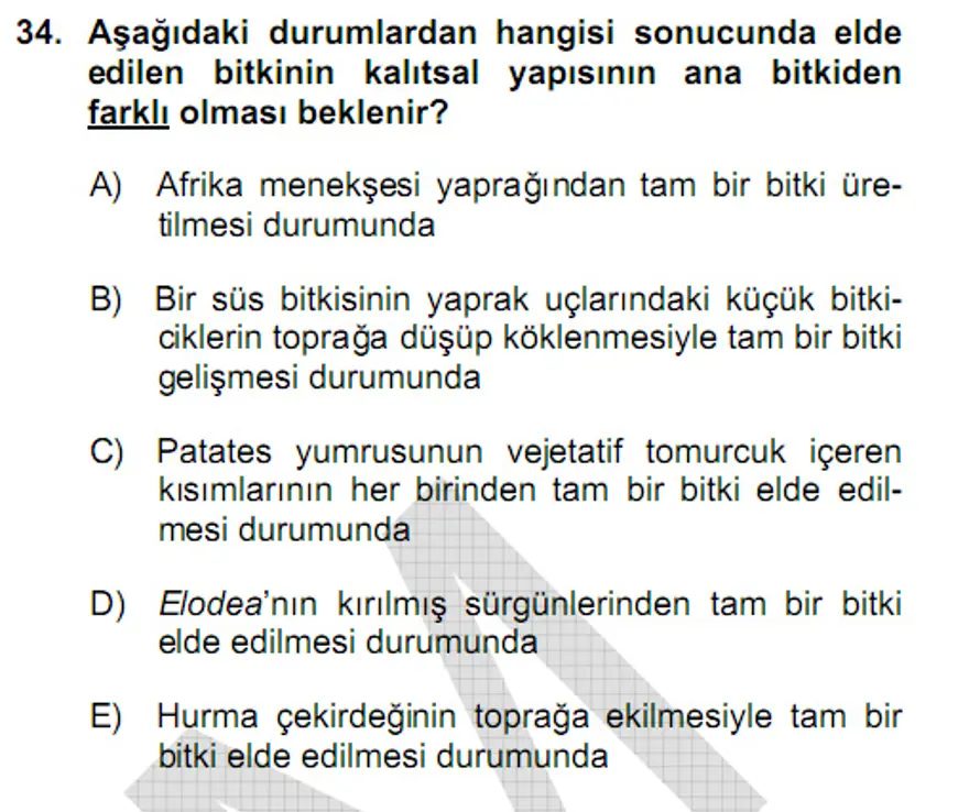 YGS Fen Bilimleri Soruları ve Yanıtları 33