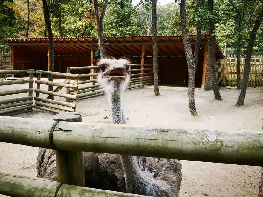 İstanbul çevresindeki en iyi kamp alanları 12 İstanbul çevresindeki en iyi kamp alanları 12