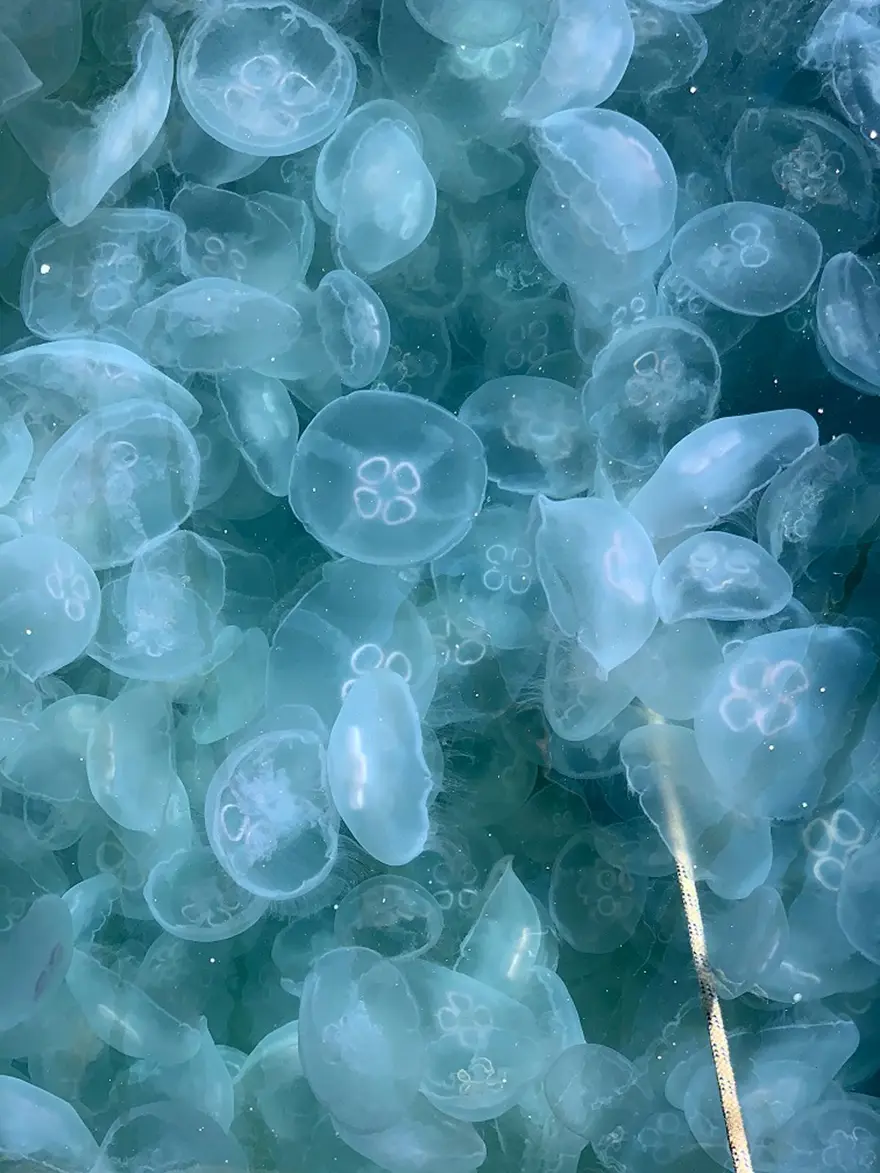 Xarkov porno klublari video